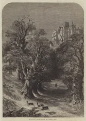 Merlewood Chase